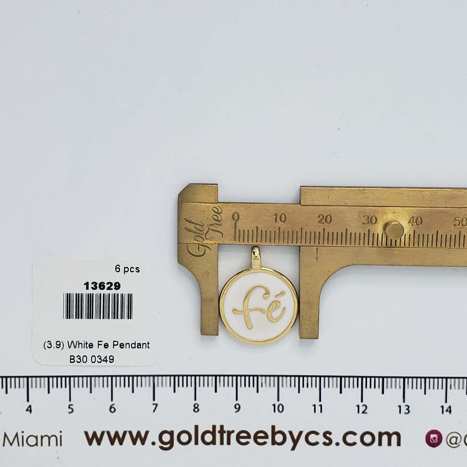 13629 Medalla Cruz Blanca, Dije Fe