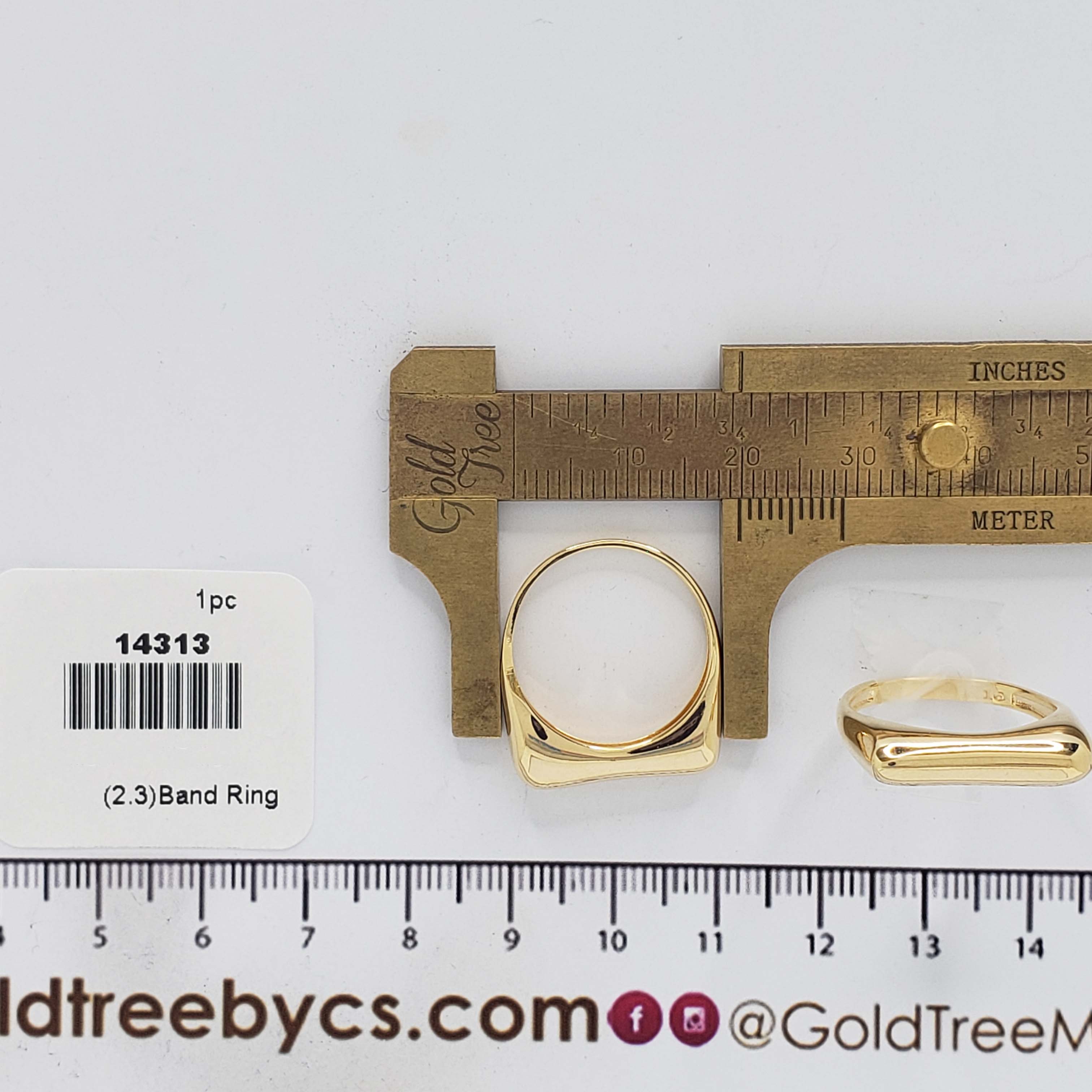 14313 Anillo de Banda