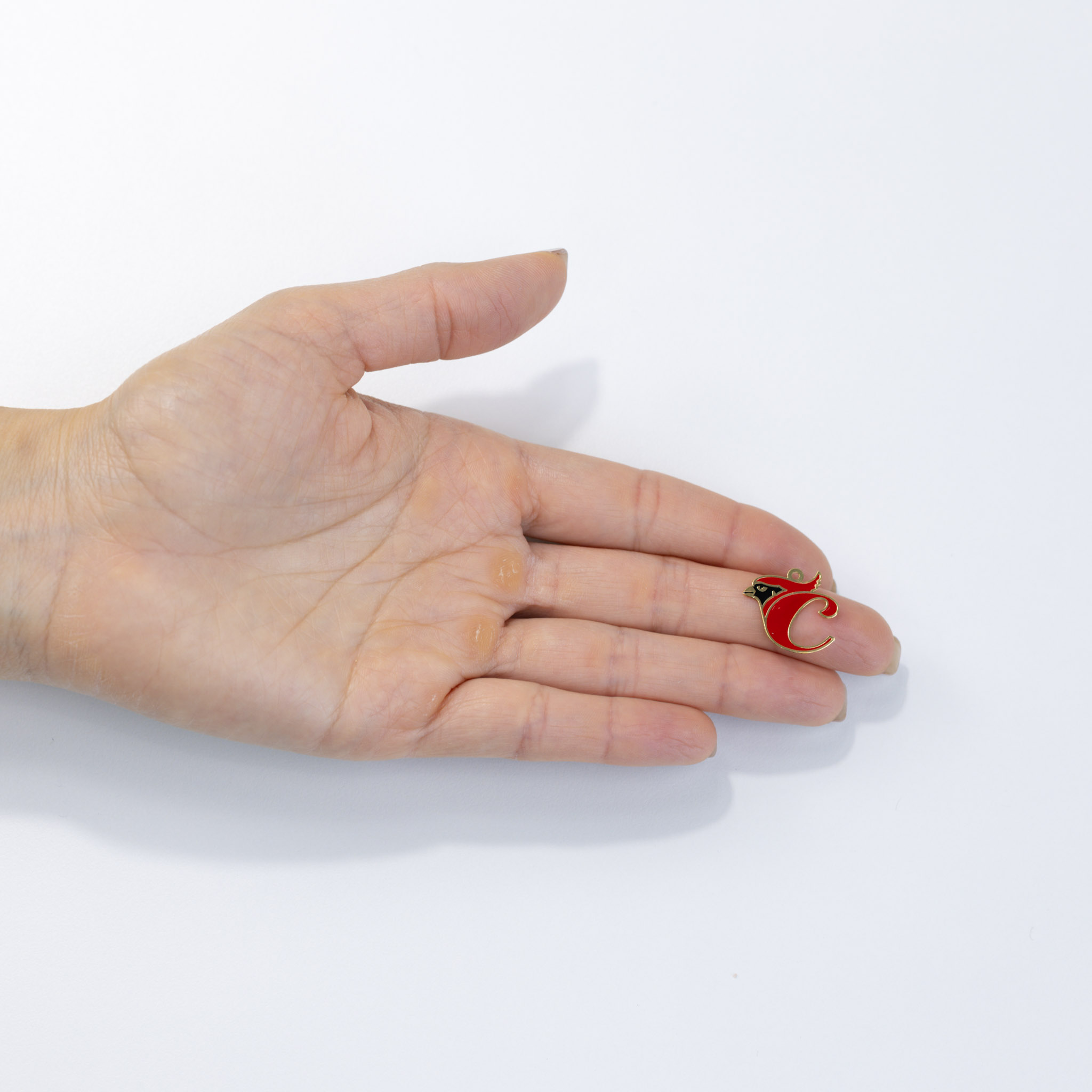 19943 Cardenales Teams Charms